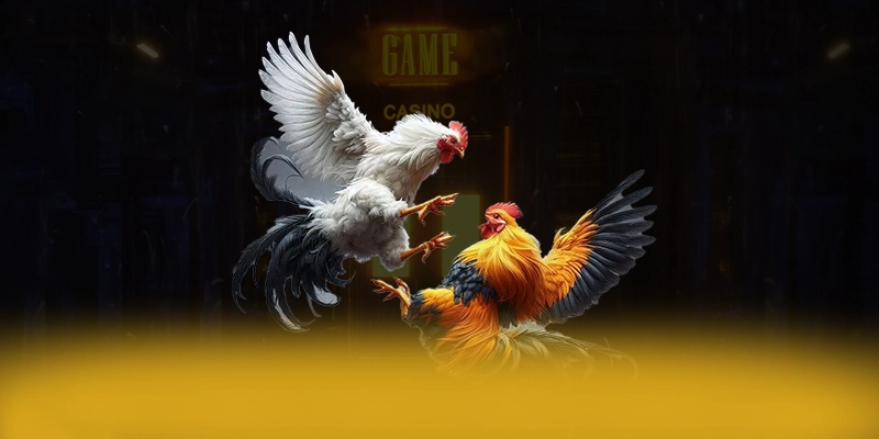 VWIN - Thương hiệu uy tín được cộng đồng game thủ công nhận – Khám phá cam kết an toàn của VWIN