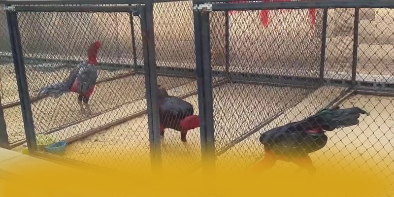 KUWIN - Sảnh game cam kết bảo vệ người chơi tuyệt đối được người chơi tin dùng – Khám phá hệ thống bảo mật tại KUWIN KUWIN - Sảnh game cam kết bảo vệ người chơi tuyệt đối được người chơi tin dùng – Khám phá hệ thống bảo mật tại KUWIN