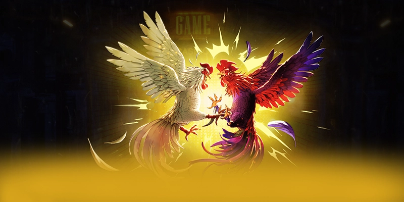 W88 - Lời kết một cách chi tiết. W88 - Lời kết một cách chi tiết.